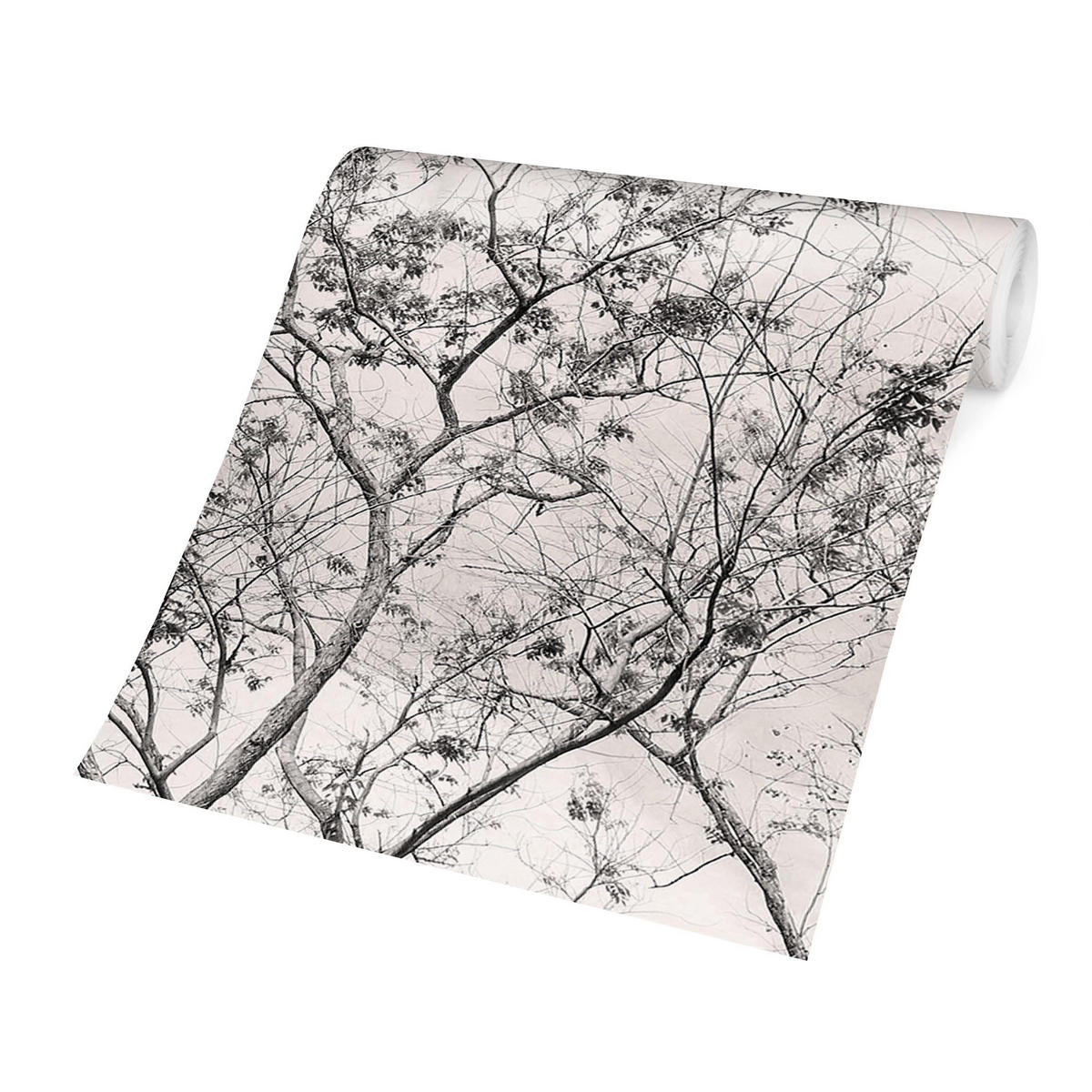 FOTOTAPETE Baumkronen im Himmel in Warmgrau 336/225 cm - Grau, Papier (336/225cm) - Bilderwelten
