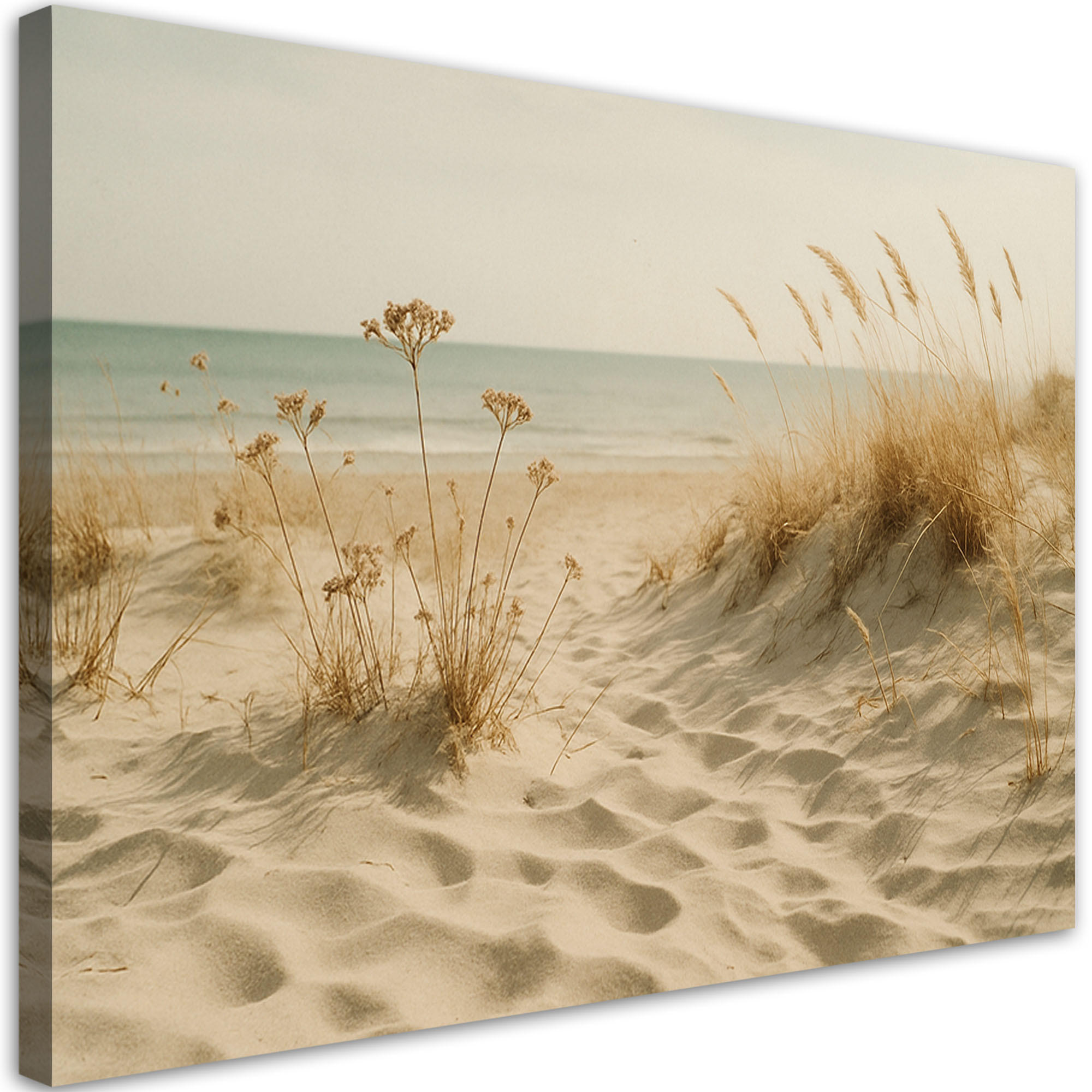 LEINWANDBILD Strand Meer Dünen Shabby Chic 60x40cm - Beige, Textil (60/40cm) - Feeby