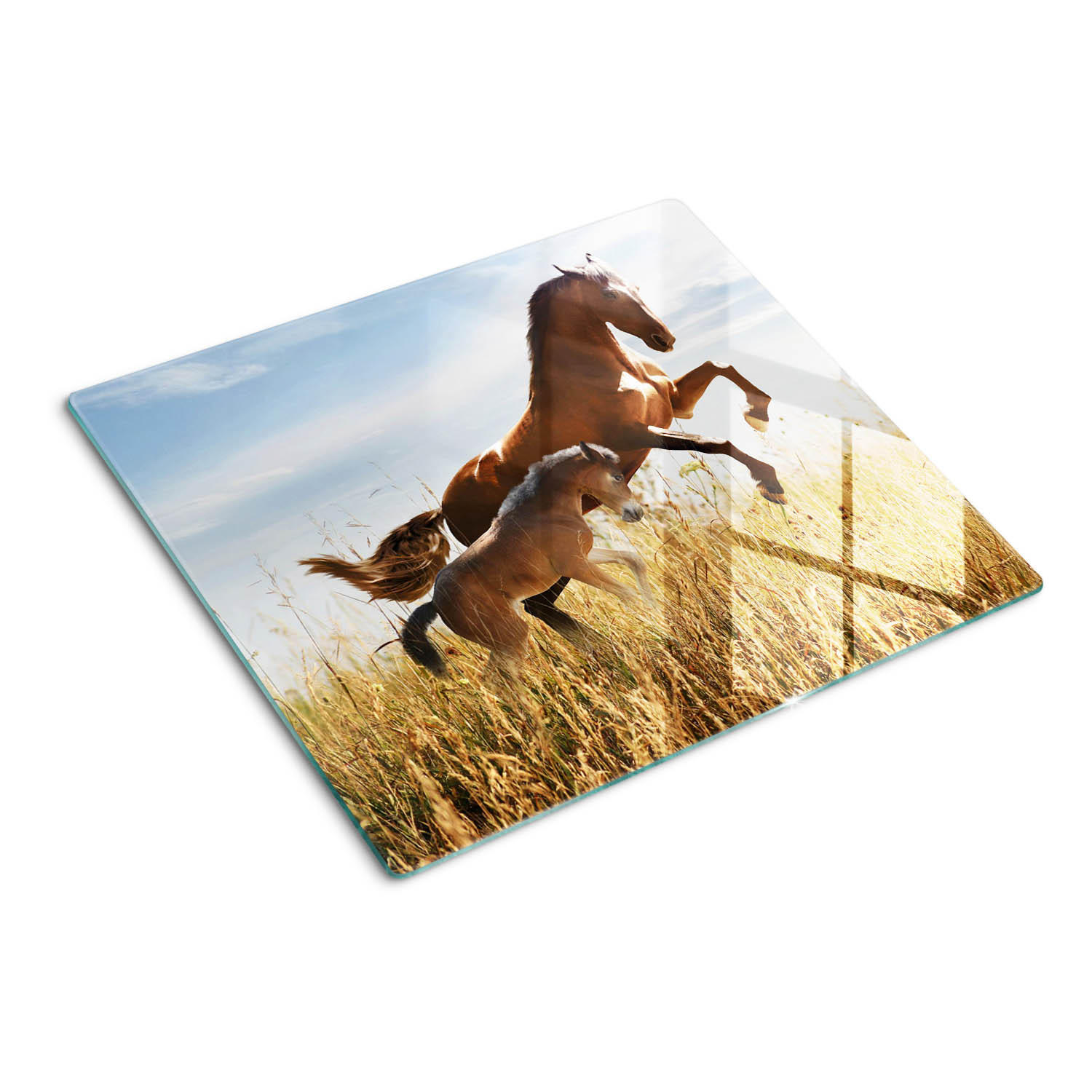 GLASPLATTE 60x52 cm Stute mit Fohlen - Dunkelgelb, Glas (60/52cm) - TULUP