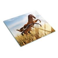 GLASPLATTE 60x52 cm Stute mit Fohlen - Dunkelgelb, Glas (60/52cm) - TULUP