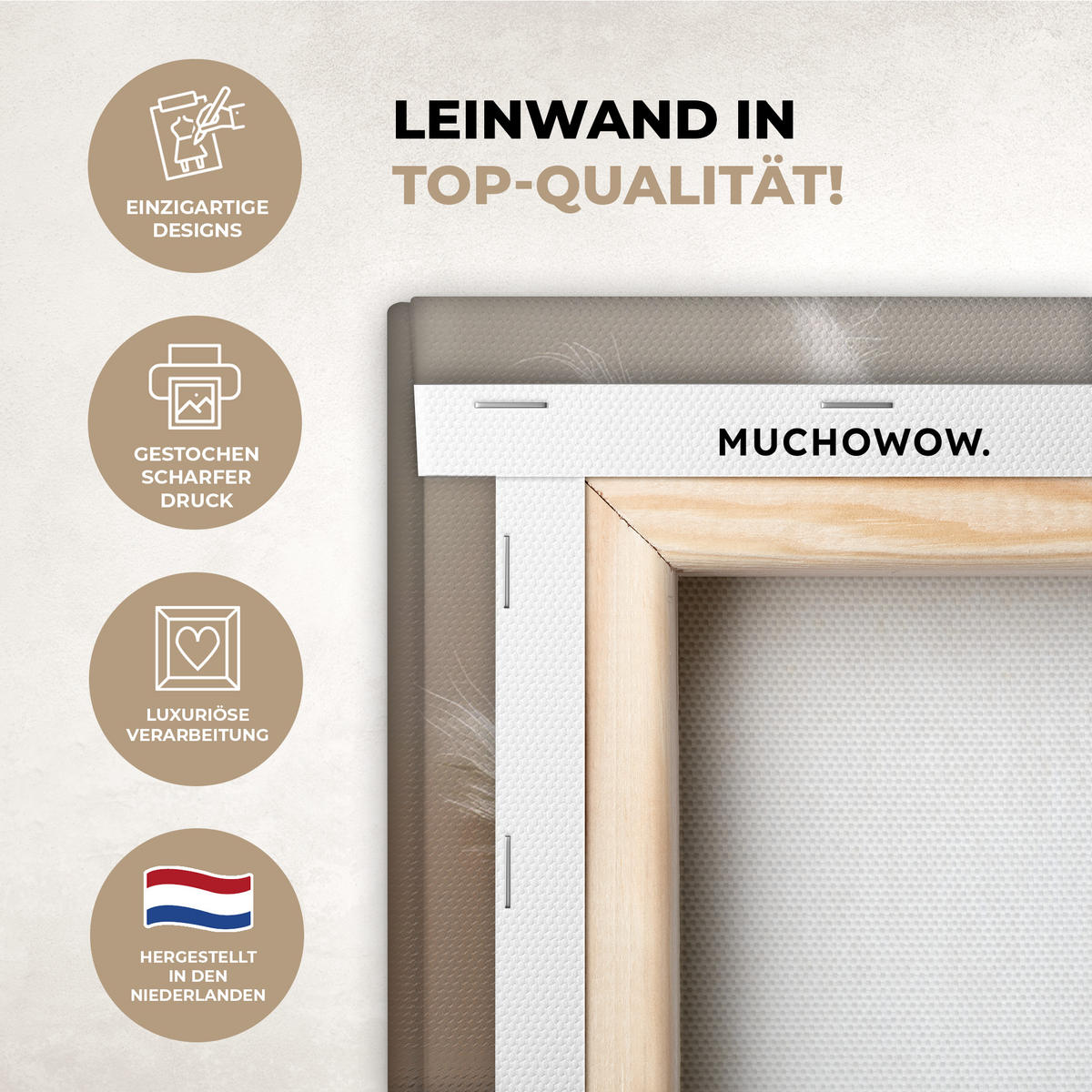 LEINWANDBILD Pampasgras - Federn - Pastell - Weiß 40x30 cm - Naturfarben, Textil (40/30cm) - MuchoWow