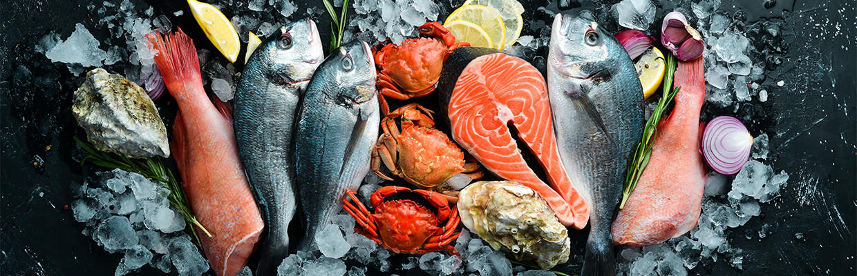 Header Rezeptverteilerseite Fisch mit Fischen und Meeresfrüchten