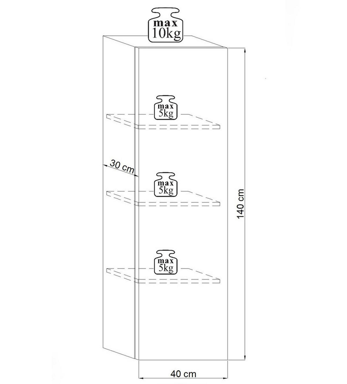 HÄNGESCHRANK Vivio schwarz Hochglanz 40 / 30 / 140cm - Schwarz Hochglanz/Schwarz, Holz/Holzwerkstoff (40/140/30cm) - Feldmann-Wohnen