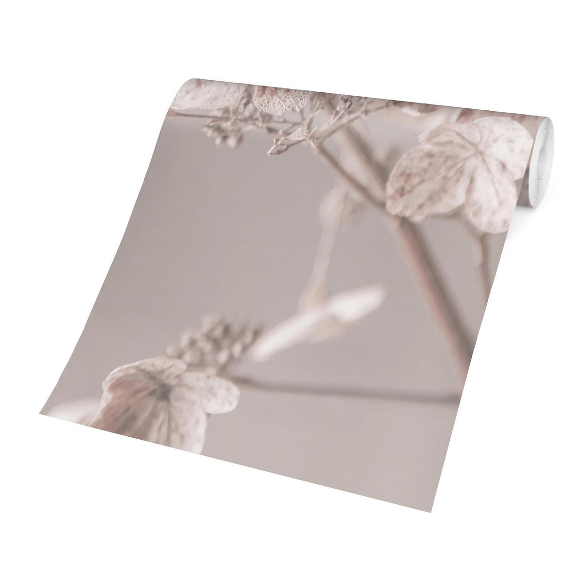 FOTOTAPETE Zarte weiße Hortensie 336/225 cm - Eichefarben, Papier (336/225cm) - Bilderwelten