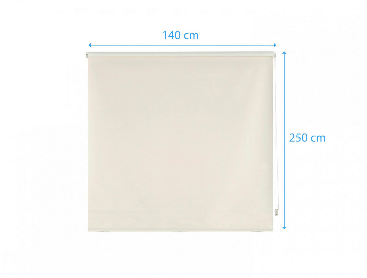 ROLLO Polyester Transluzent Beige 140x250 - Beige, Textil (140/250/1cm) - Purline