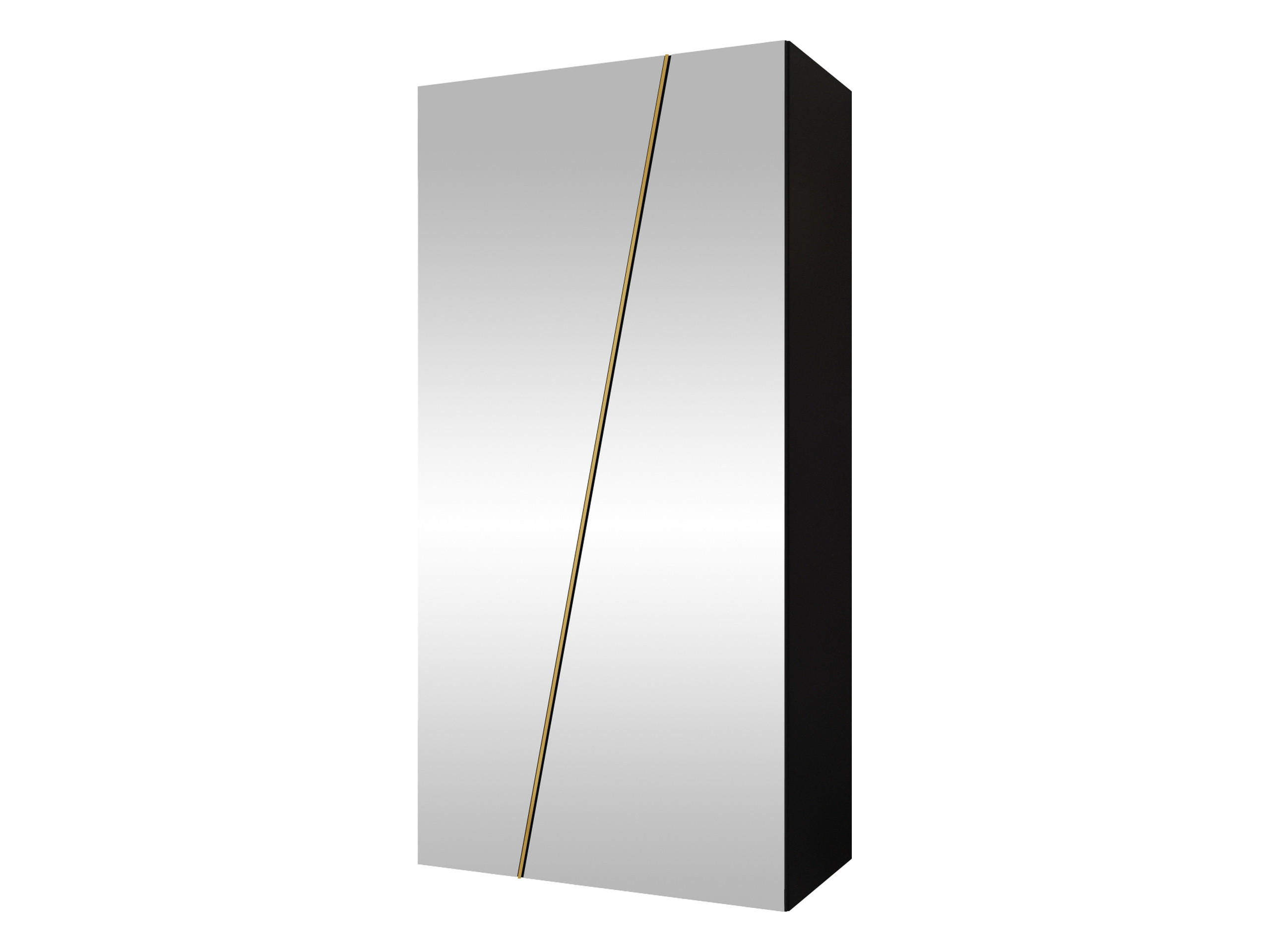 DREHTÜRENSCHRANK Zen 2L 100 cm - Goldfarben/Schwarz, Holzwerkstoff/Kunststoff (100/202/50cm) - MIRJAN24
