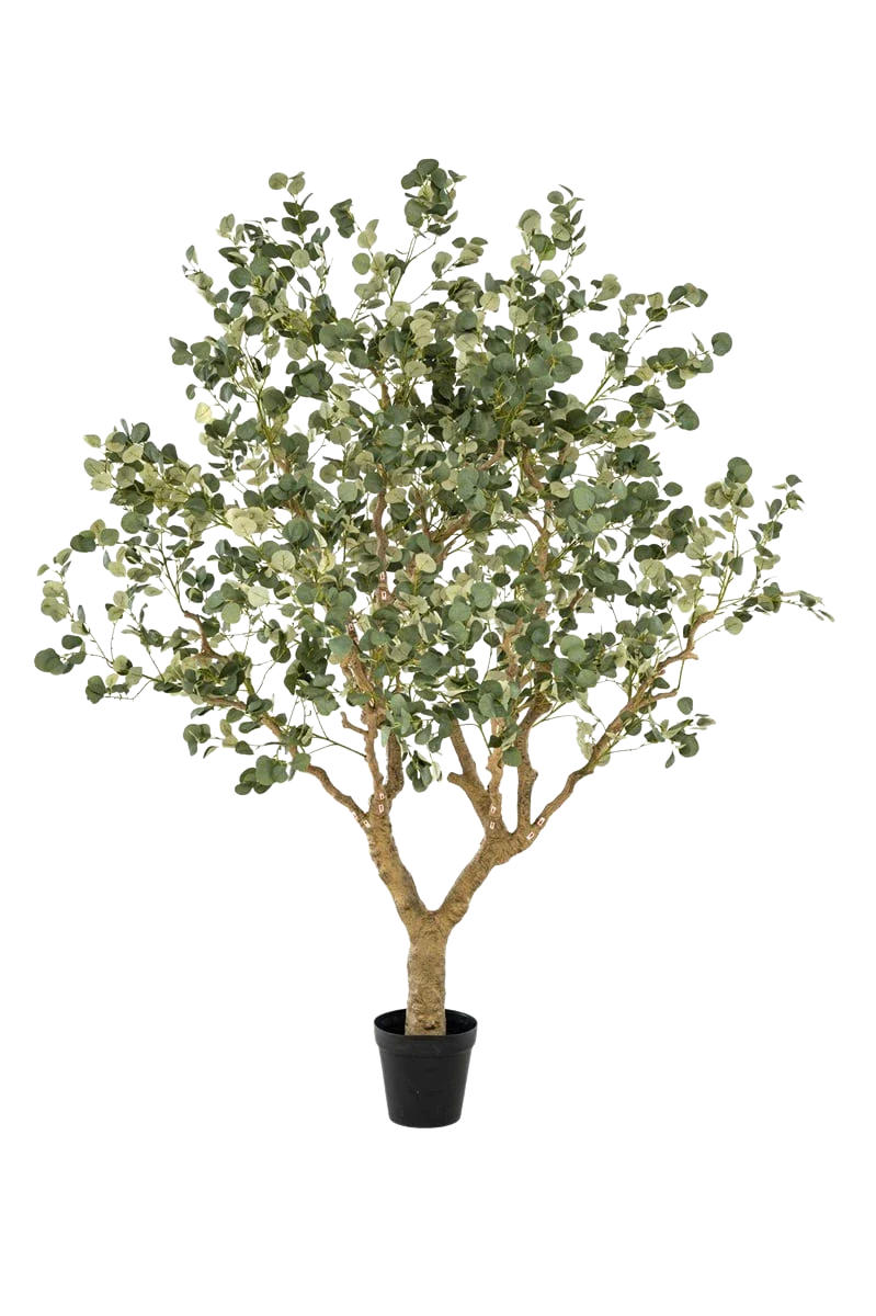 KUNSTBAUM Künstlicher Eucalyptus - Kalli 240 cm - Grün, Kunststoff (240cm) - Emerald