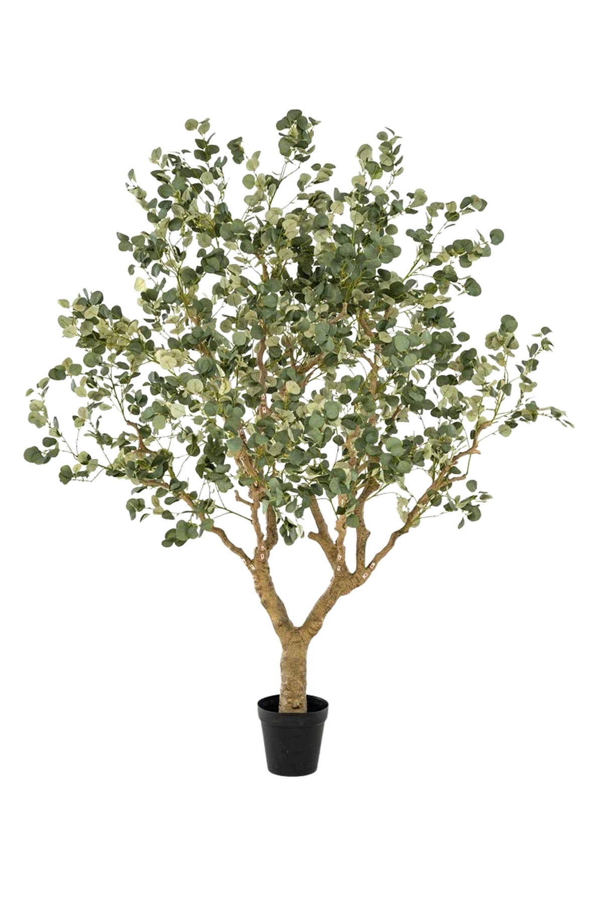 KUNSTBAUM Künstlicher Eucalyptus - Kalli 240 cm - Grün, Kunststoff (240cm) - Emerald