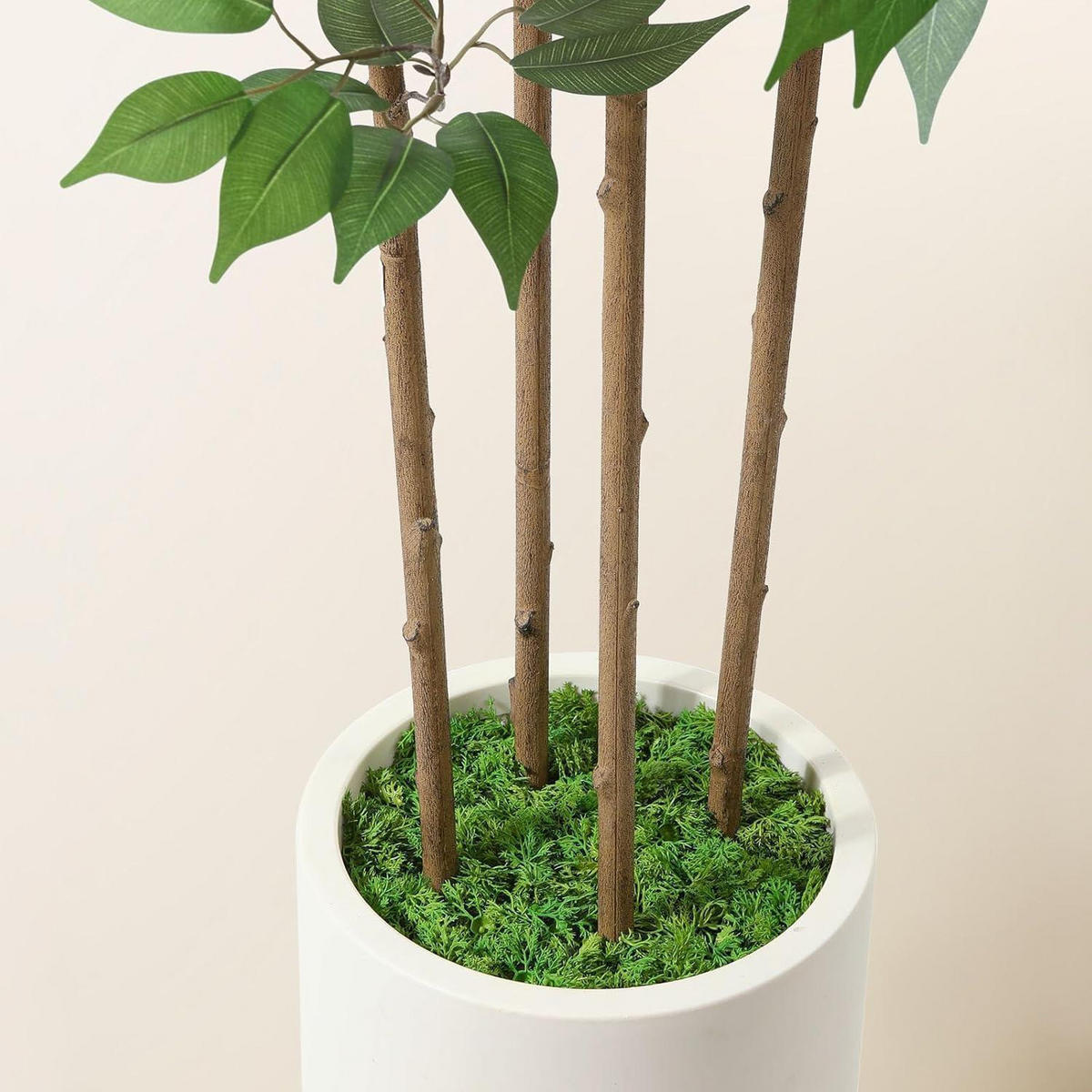 KÜNSTLICHE Pflanze Ficus 180 cm im weißen Topf - Grün, Kunststoff (182.9cm)