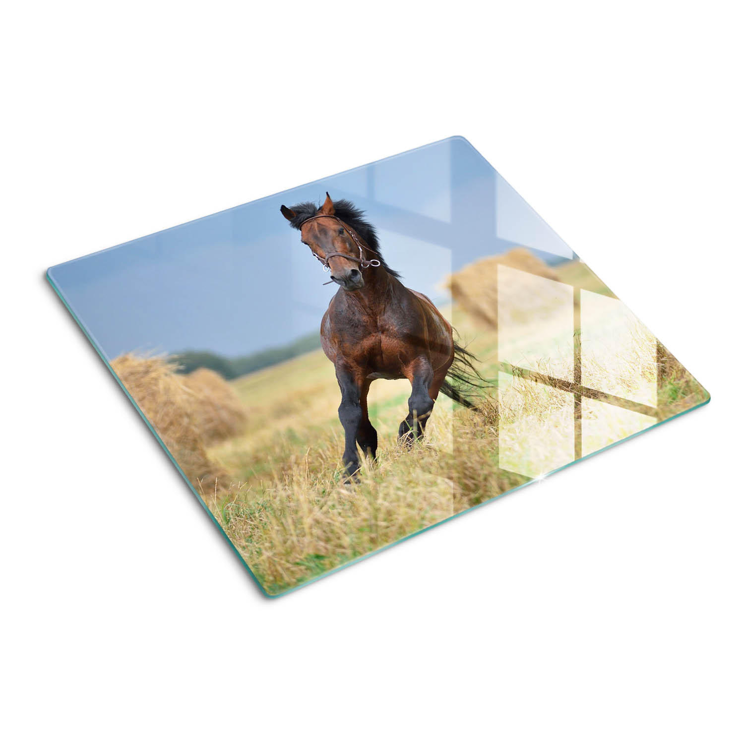 GLASPLATTE 60x52 cm Galoppierendes Pferd - Braun, Glas (60/0.4/52cm) - TULUP