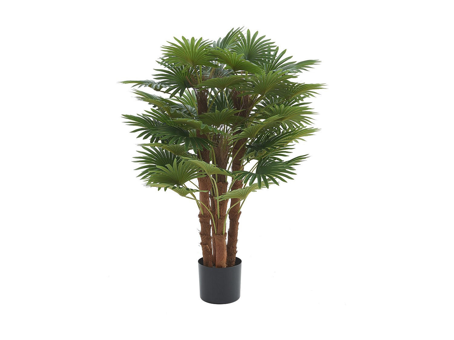 KUNSTPFLANZE - 65 cm x 65 cm - plastik - grün Rhapis - Grün, Kunststoff (93cm) - Vente-Unique