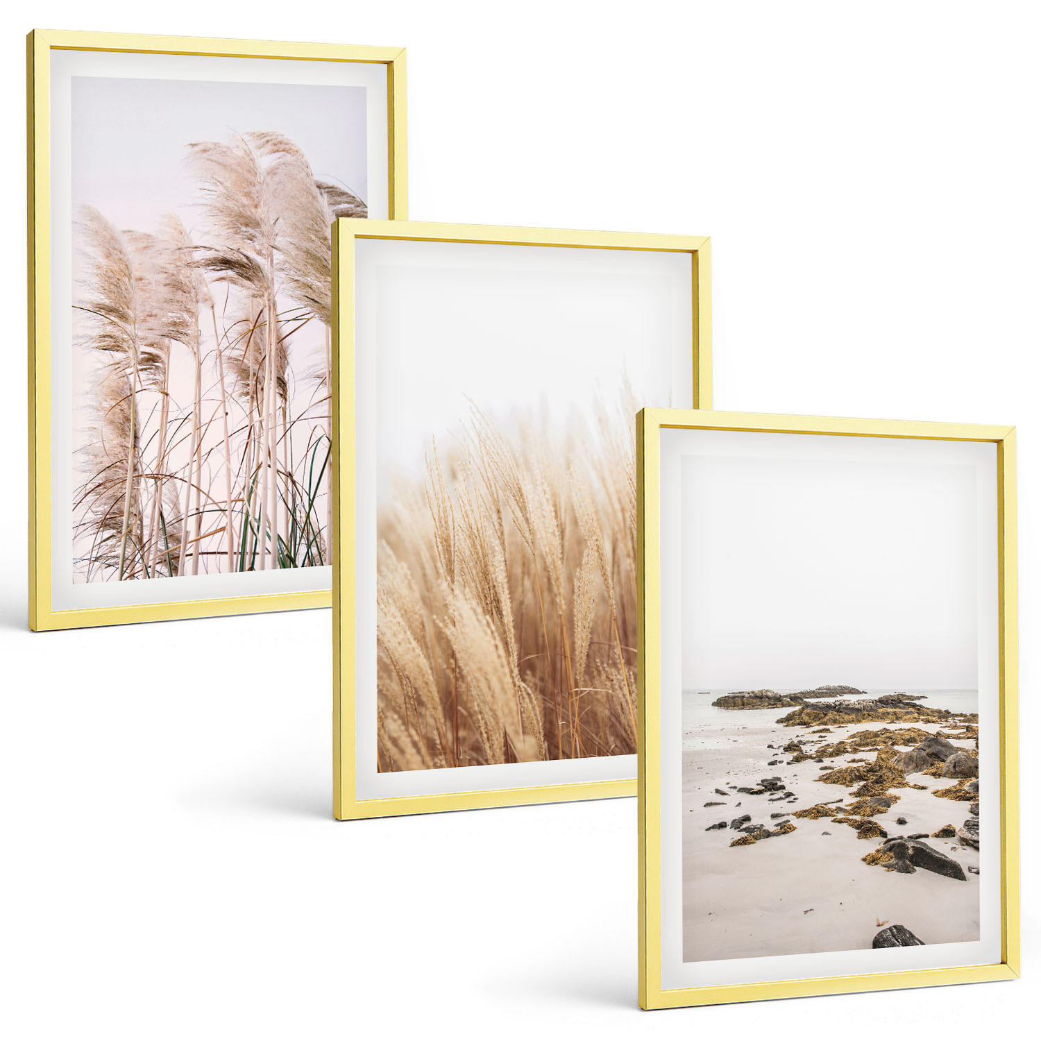 BILDER SET 3er Set - 40x60 cm Goldrahmen - Pampasgrasfelder und ein Boho-Strand - Goldfarben, Kunststoff (40/60cm) - TULUP