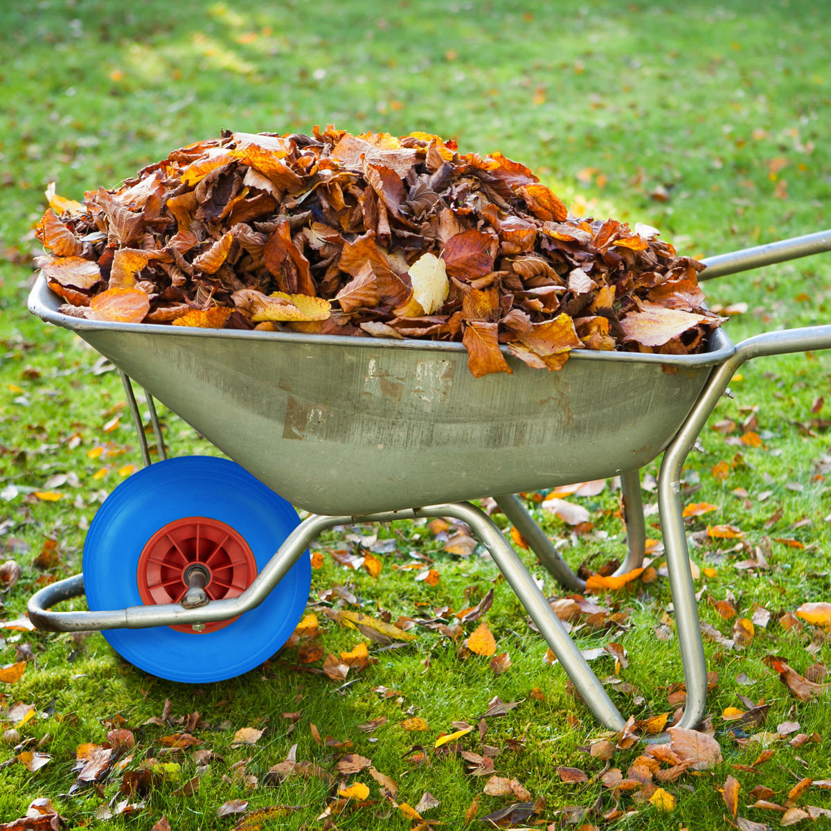 SCHUBKARRENRAD - Multicolor, Kunststoff/Metall (33/33/9cm) - Relaxdays