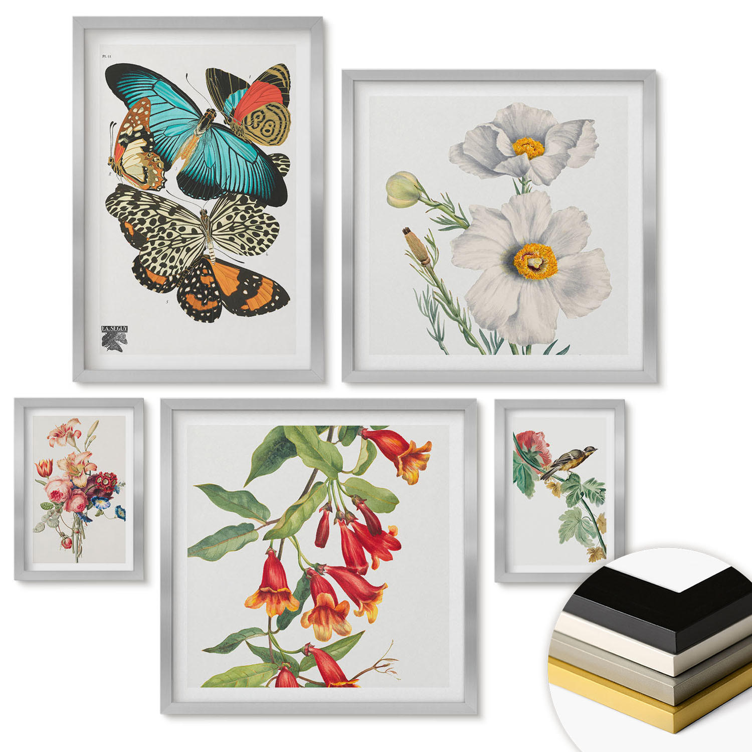 WANDBILDER 5er Set - 50x50 cm & 20x30 cm & 40x60 cm Silberner Rahmen - Blumen, Schmetterlinge, Vögel, Pastellfarben - Silberfarben, Kunststoff (40/60cm) - ArtPrintCave
