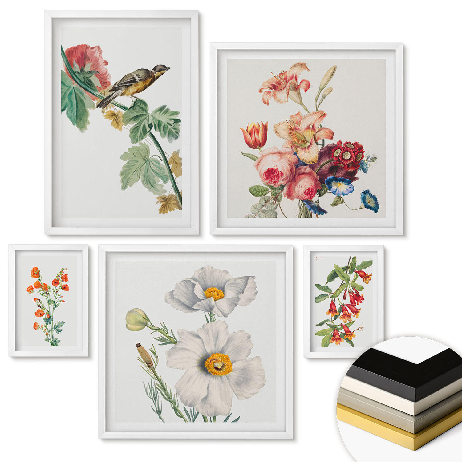 WANDBILDER 5er-Set - 50x50 cm & 20x30 cm & 40x60 cm Weißer Rahmen - Gemalte Blumen, Retro-Vogel - Weiß, Kunststoff (40/60cm) - ArtPrintCave