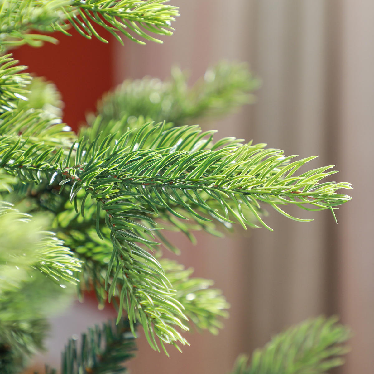 KÜNSTLICHER Weihnachtsbaum, 183 cm Christbaum mit 1700 Spitzen für Weihnachten - Grün, Kunststoff (183cm) - HOMCOM