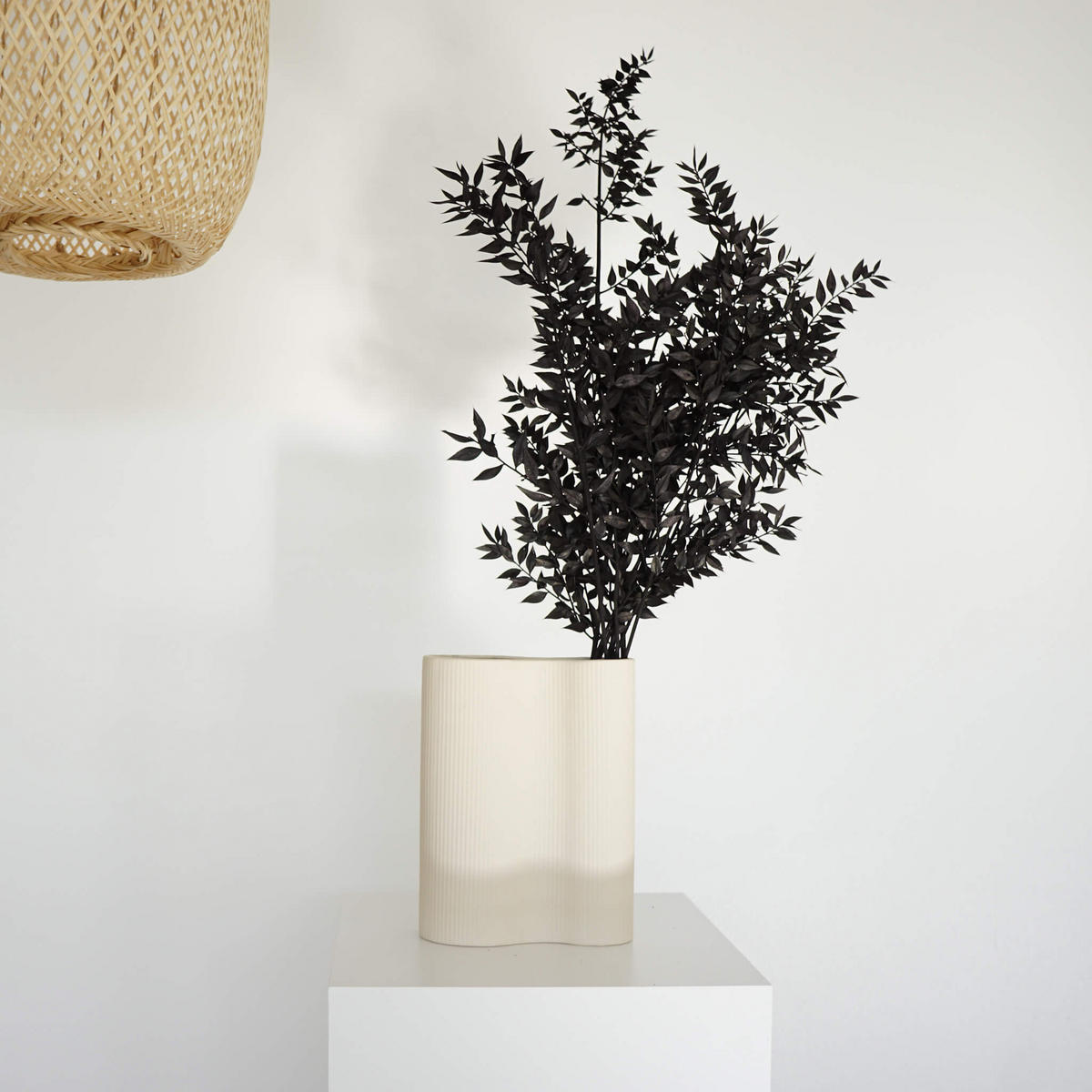 RUSKUS / Mäusedorne konserviert - weiß - Weiß, Naturmaterialien (75cm) - Lykke & You