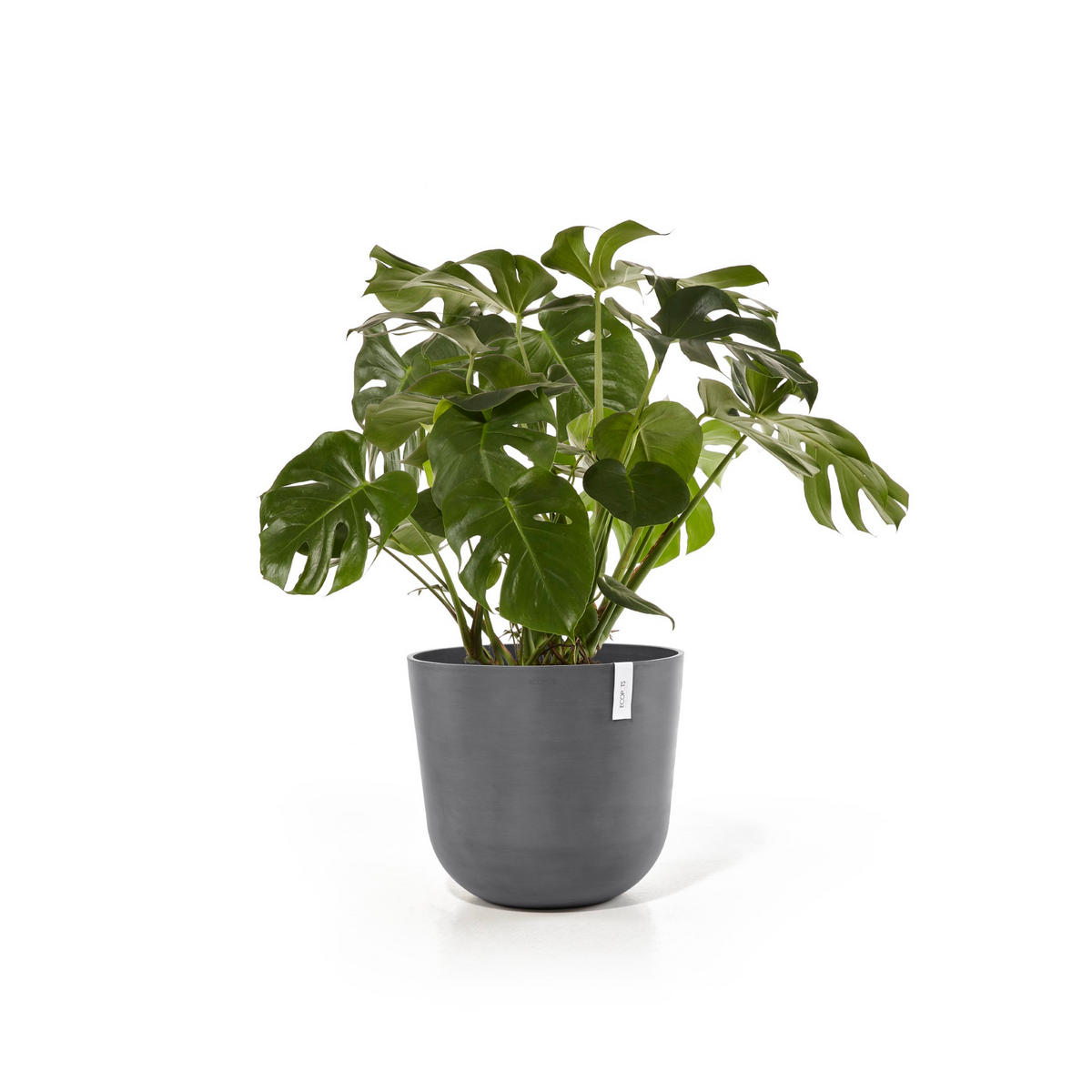 BLUMENTOPF Oslo 55/48,5 cm Grau - Grau, Kunststoff (55/48.5cm) - Ecopots