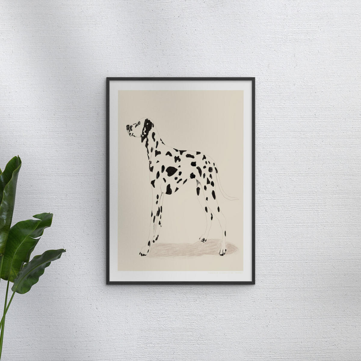 POSTER mit Rahmen Jenny Liz Rome - Dalmation - Schwarz/Naturfarben, Holz/Papier (70/100cm) - Poster&Frame