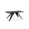 COUCHTISCH Aria Pietra Grigia Schwarz / Schwarz 120 / 60 / 48cm - Schwarz, Holz/Holzwerkstoff (60/120/48cm) - Feldmann-Wohnen
