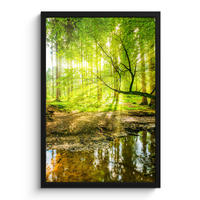 GERAHMTES BILD Wald - Landschaft - Wasser - Bäume - Sonne - Grün - Natur 40x60 cm - Grün, Papier (40/60cm) - MuchoWow