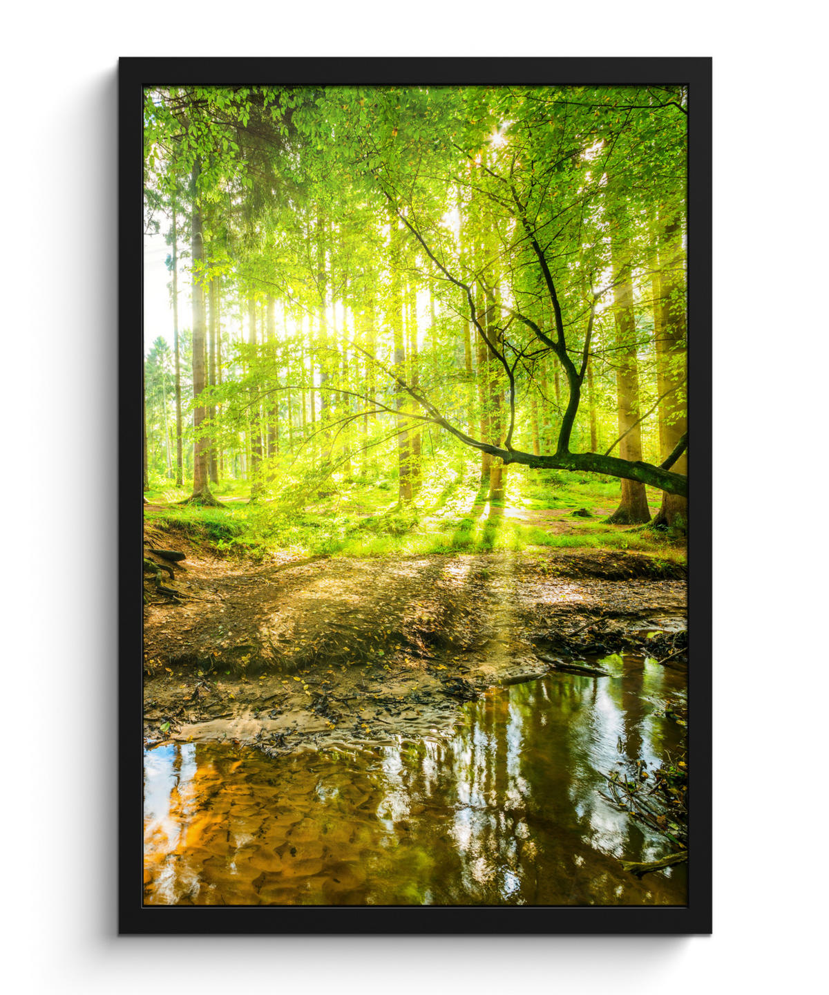 GERAHMTES BILD Wald - Landschaft - Wasser - Bäume - Sonne - Grün - Natur 40x60 cm - Grün, Papier (40/60cm) - MuchoWow