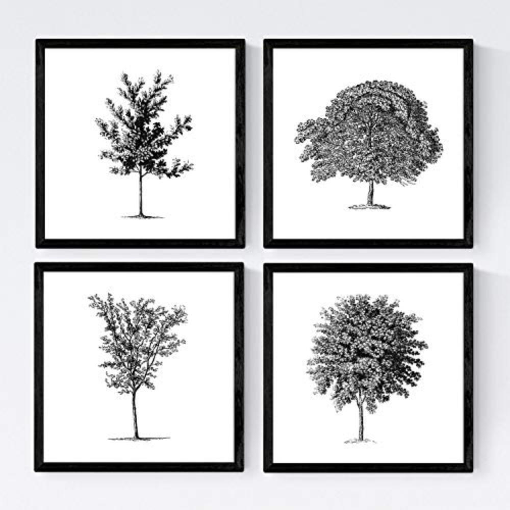 POSTER Set mit 4 Blättern der mittlere dünne Bäume Stamm weiß 20x20cm Schwarzer Rahmen - Schwarz, Papier (20/3cm) - Nacnic