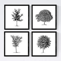 POSTER Set mit 4 Blättern der mittlere dünne Bäume Stamm weiß 20x20cm Schwarzer Rahmen - Schwarz, Papier (20/3cm) - Nacnic