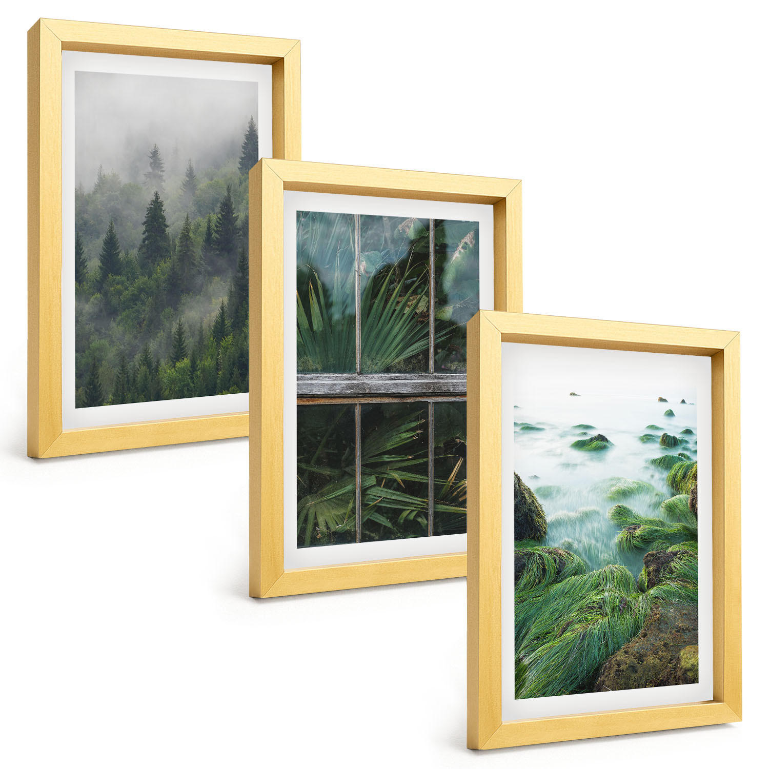 BILDER SET 3er Set - 20x30 cm Goldrahmen - Waldnebel, Flussufer, Gewächshaus - Goldfarben, Kunststoff (20/30cm) - TULUP