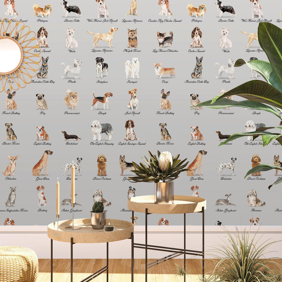 TAPETE Hunde aus echtem Papier, 200x280cm, 8 Bögen - Grau, Papier (200/280cm) - WALLPAPERS4BEGINNERS