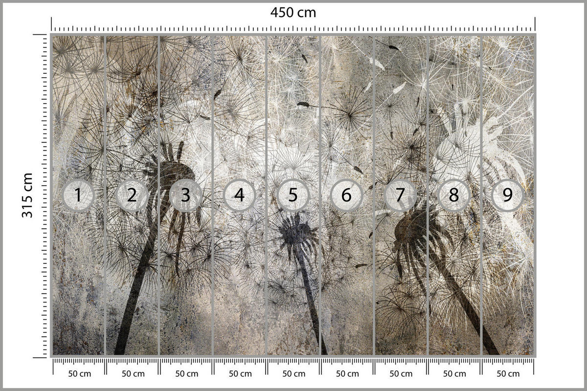 FOTOTAPETE Pusteblumen Beton Retro Stil 450x315 - Beige/Braun, Papier (450/315cm) - Muralo