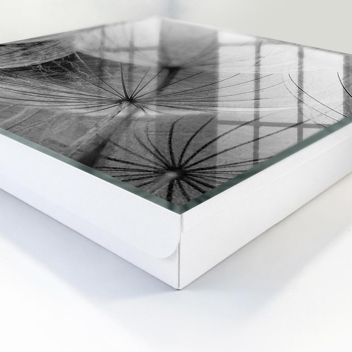 SCHLÜSSELBOX Weiß 30x30 cm – Türöffnung nach rechts - Löwenzahnsamen - Grau, Metall (30/30/5cm) - TULUP