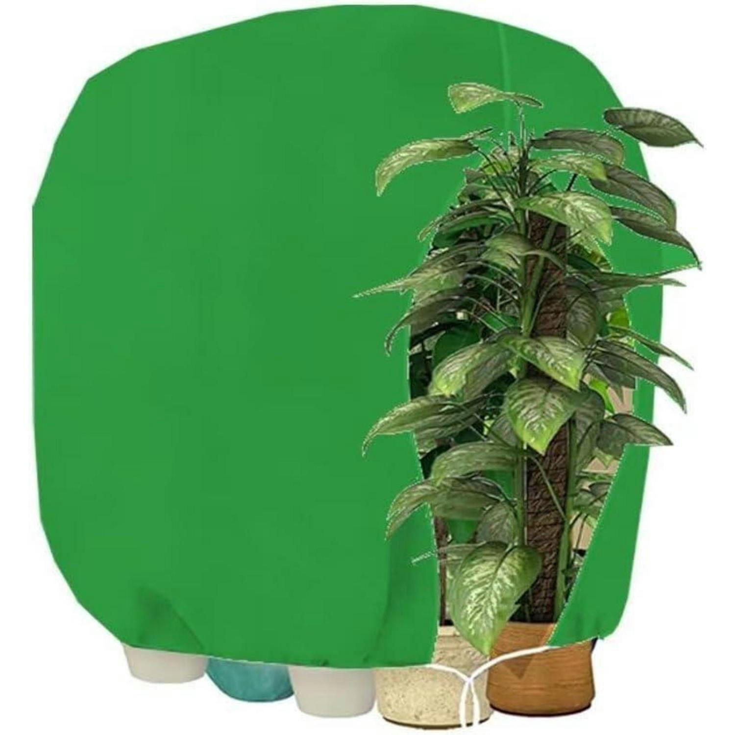 XXXLutz Pflanzenschutzhaube Grün 200x1x240 cm
