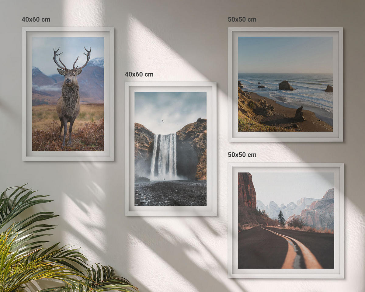 WANDBILDER 4er-Set - 50x50 cm & 40x60 cm Weißer Rahmen - Berglandschaften, Wasserfälle, Hirsche, Strände - Weiß, Kunststoff (50/50cm) - ArtPrintCave