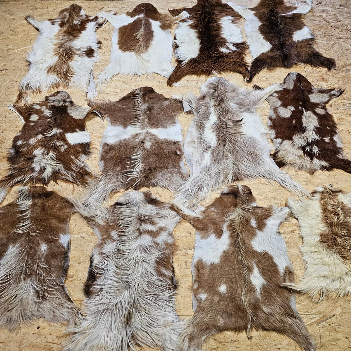 FELL Ziegenfell Braun-Weiß Naturfarben Teppich ca. 90 cm 2.Wahl - Braun/Weiß, Fell (50/90cm) - Provellus