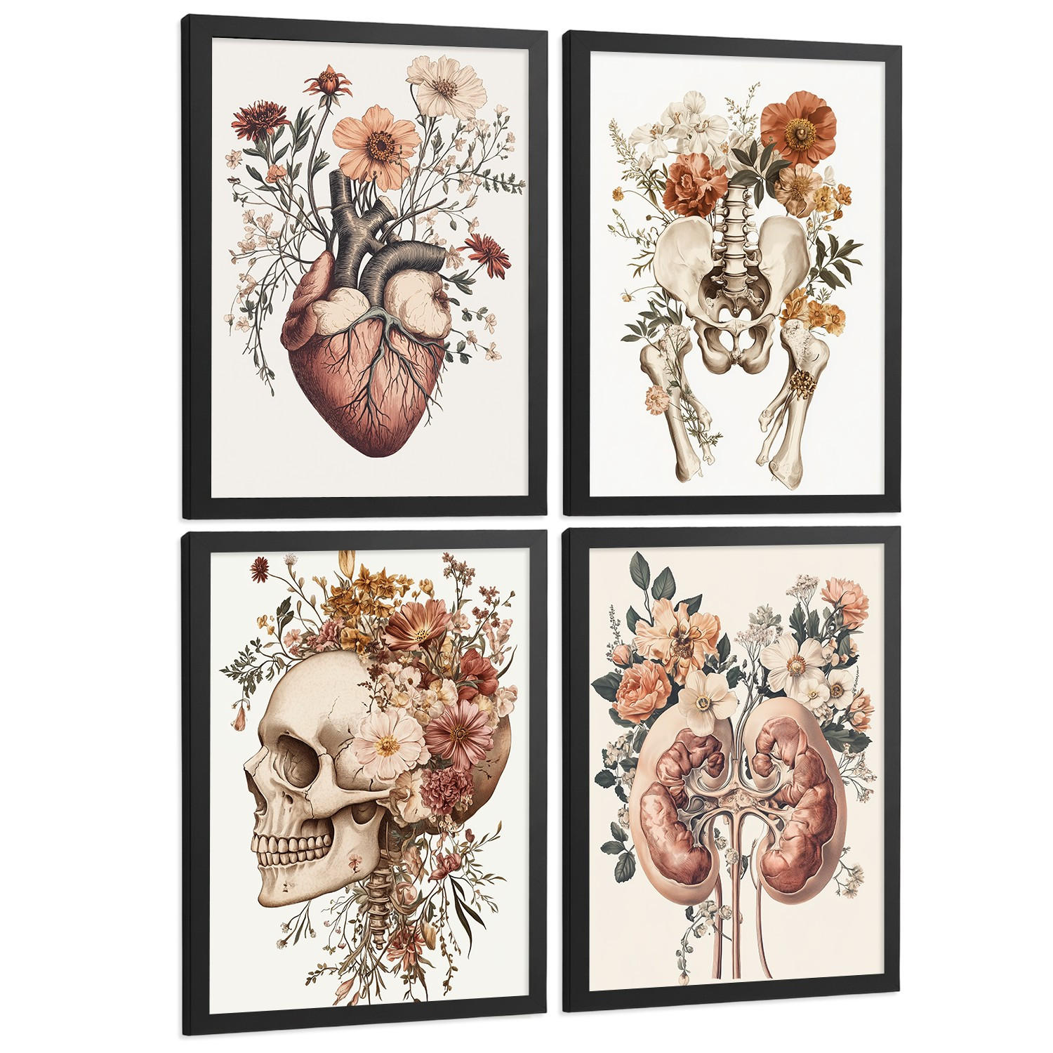 POSTER Set aus 4 Anatomie Drucke und Wandbilder mit Herz Nieren Schädel und Becken Botanischer Stil Wanddekoration Größe Schwarzer Rahmen A3 - Schwarz, Papier (29.7/42/3cm) - Nacnic
