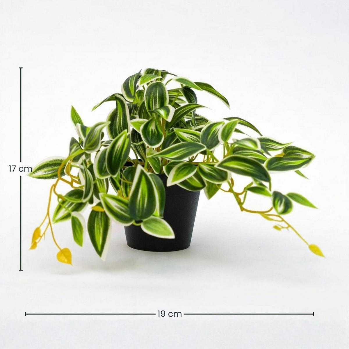 KUNSTPFLANZE Tradescantia Gruen-Weiss im Topf 19cm - Schwarz/Grün, Kunststoff (17cm) - Trendhero