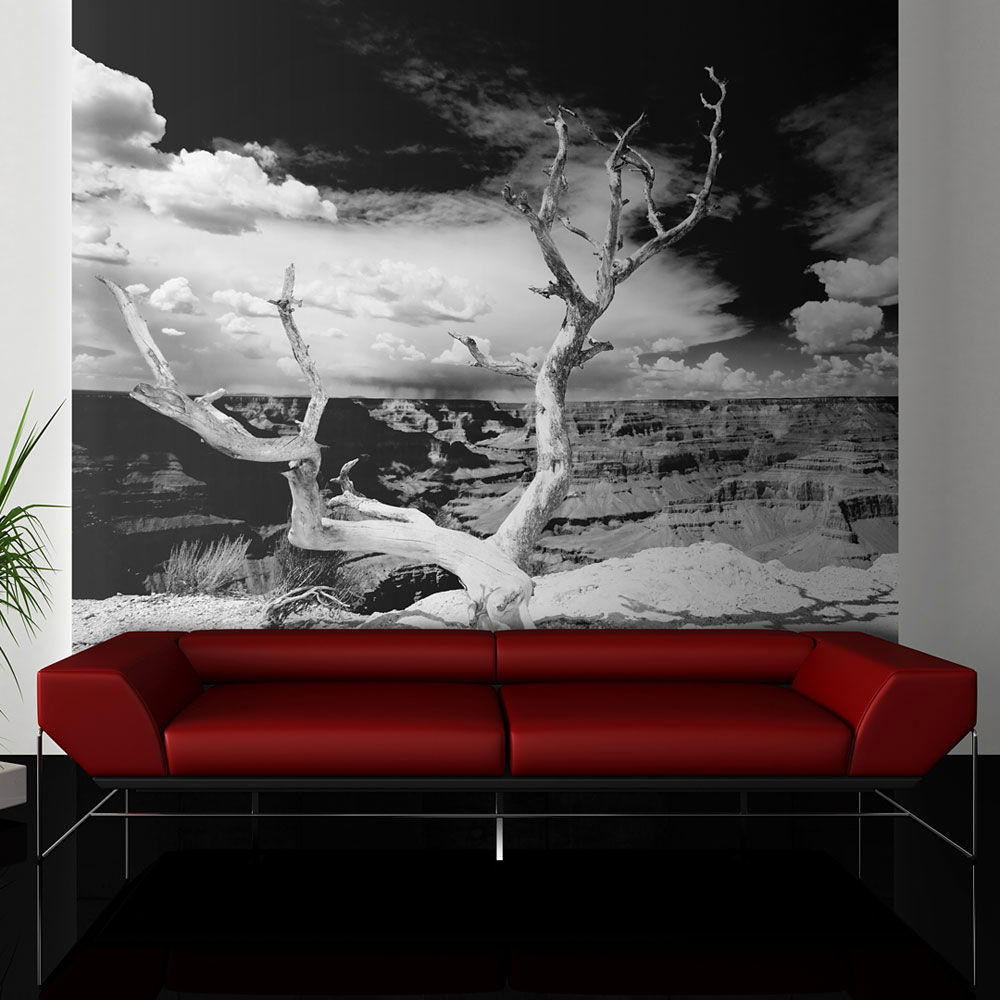 VLIESTAPETE Schwarz-Weiß 350/270 cm - Schwarz, Textil (350/1cm) - KUNSTLOFT