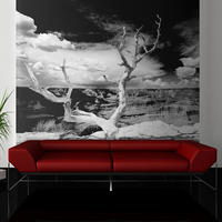 VLIESTAPETE Schwarz-Weiß 350/270 cm - Schwarz, Textil (350/1cm) - KUNSTLOFT
