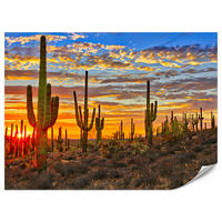 FOTOTAPETE für Wohnzimmer Wüsten Sonnenuntergang Kaktus Pflanzen 250x175 - Gelb/Beige, Papier (250/175cm) - Muralo