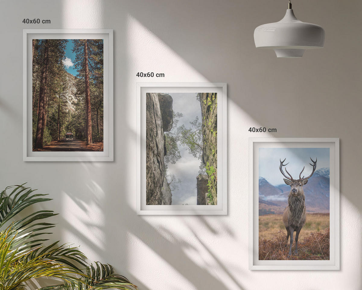 WANDBILDER 3er-Set - 40x60 cm Weißer Rahmen - Straße Wald Berge Hirsch Natur - Weiß, Kunststoff (40/60cm) - ArtPrintCave