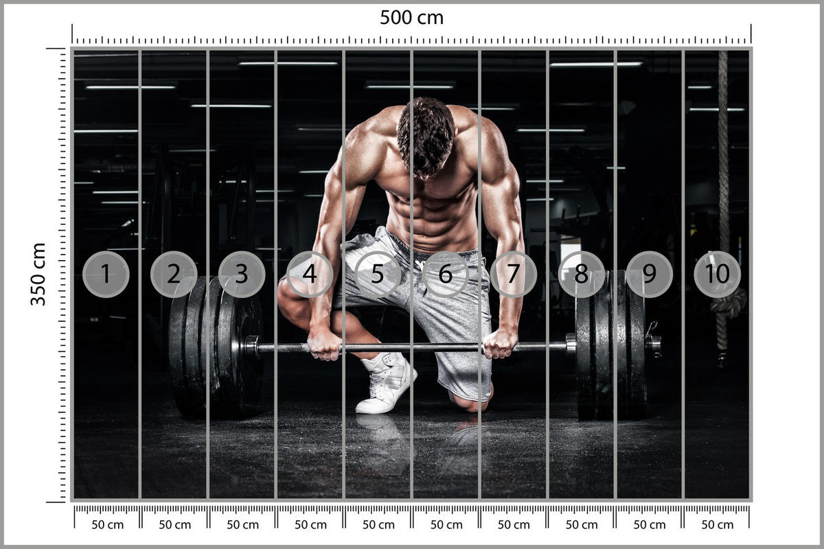 FOTOTAPETE Muskulöser Mann Fitnessstudio Training Sport 500x350 - Beige/Schwarz, Papier (500/350cm) - Muralo