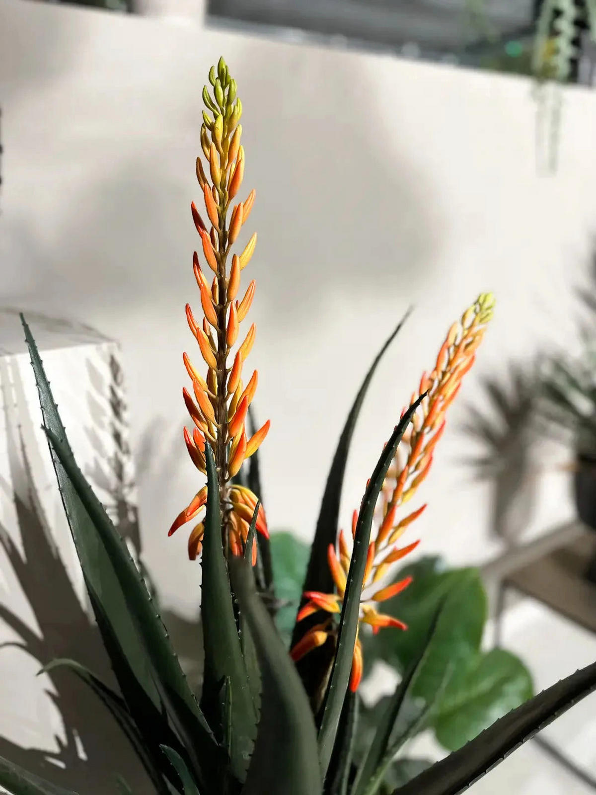KUNSTPFLANZE Künstliche Aloe - Paulina 80 cm - Grün, Kunststoff (80cm) - Emerald