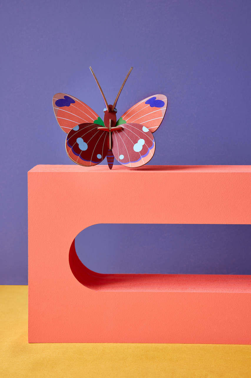 WANDDEKO Delias-Schmetterling 14/6 cm - Blau/Pink, Wellpappe (14/6/13cm) - KUNSTLOFT