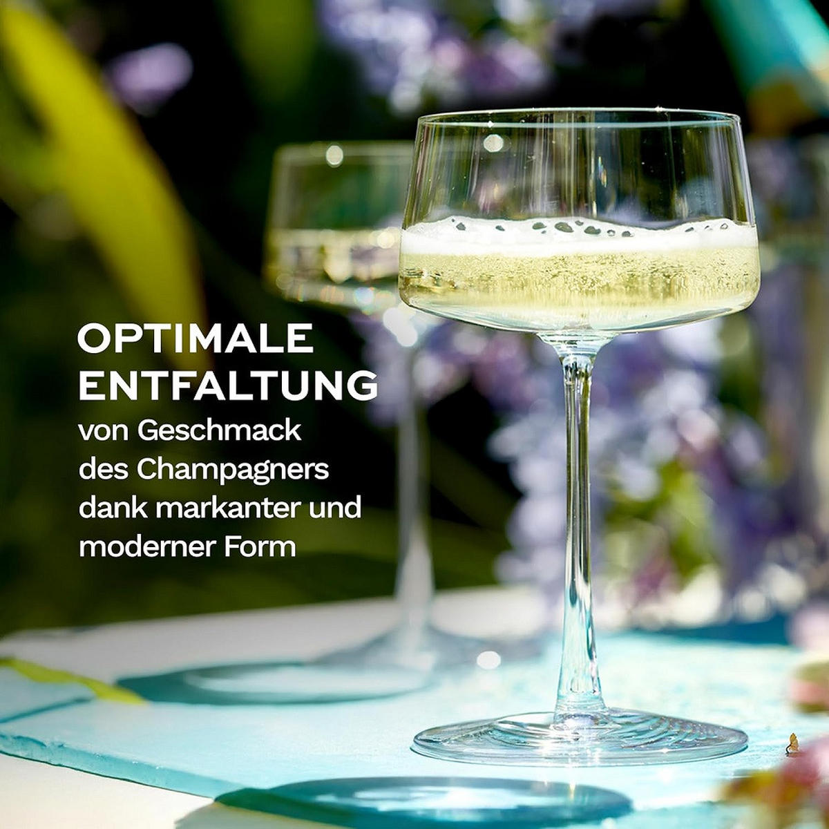 CHAMPAGNERSCHALE Power 6er Set - Transparent, Glas (0.276L) - Stölzle