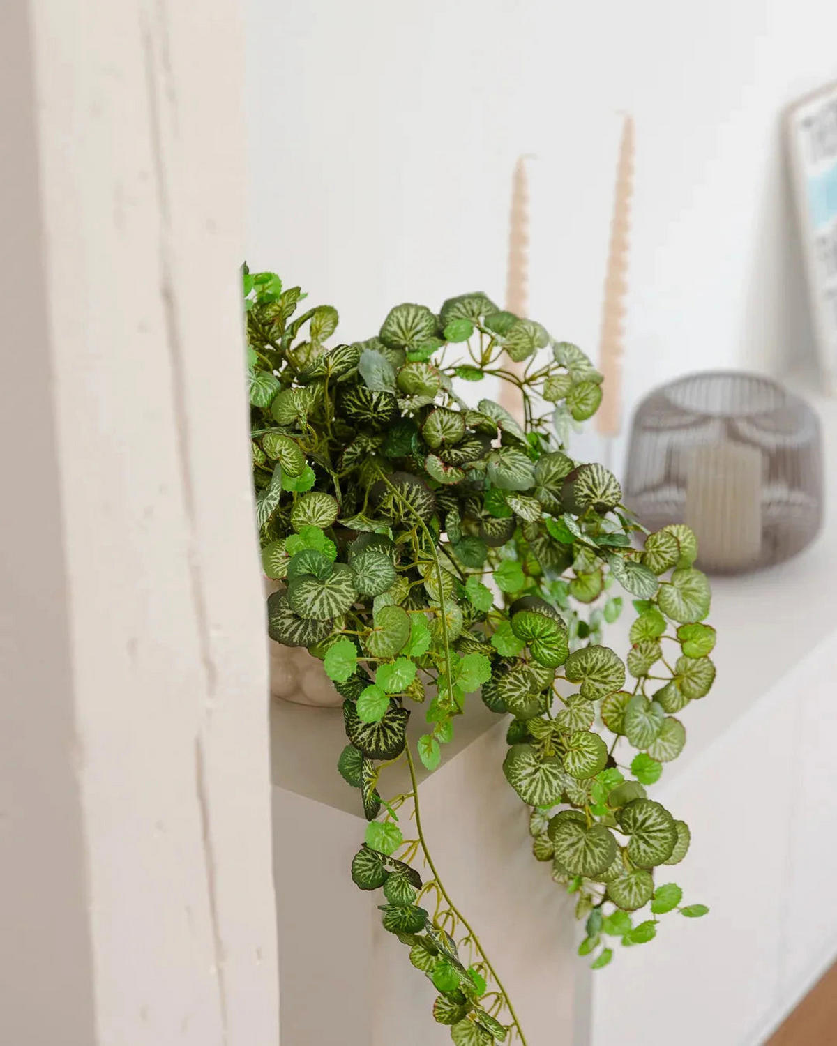 KUNSTPFLANZE Künstliche Steinbrech - Emanuel 50cm - Grün, Kunststoff (50cm) - aplanta