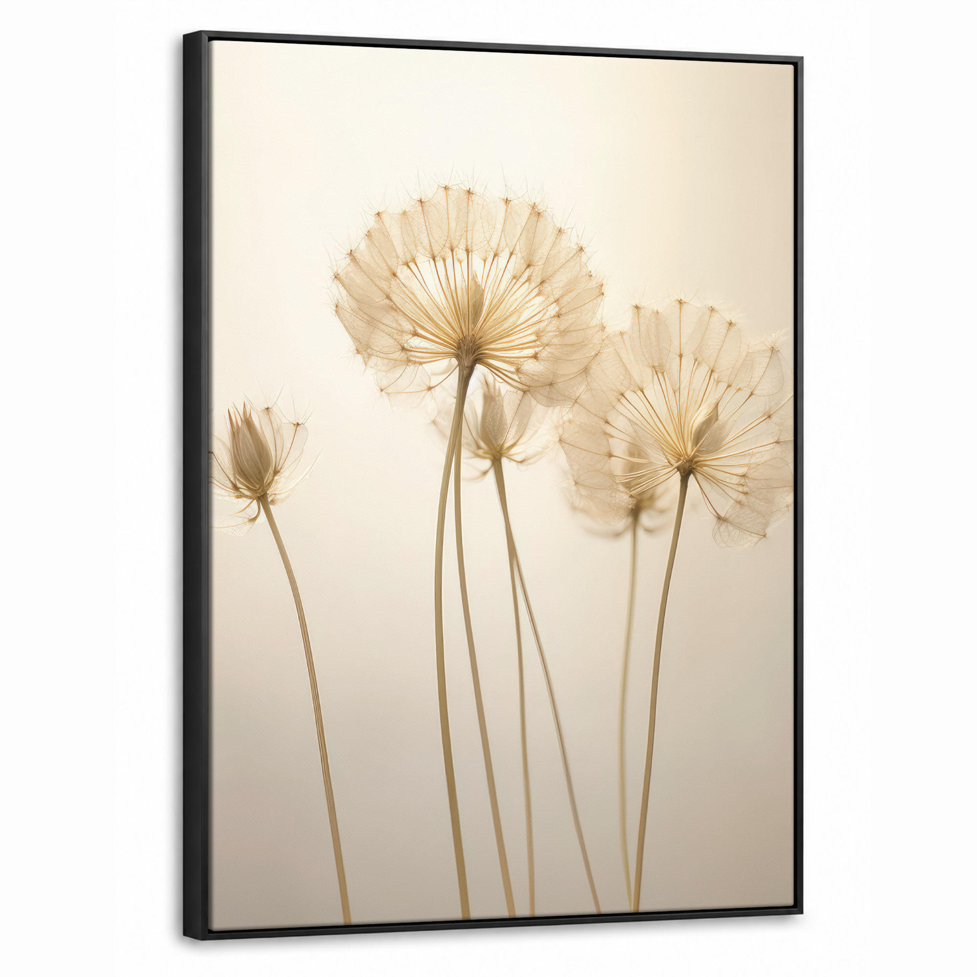 LEINWAND Bilder mit Rahmen - Sonnenlicht - Löwenzahn - Botanisch - Blumen - 50x70 - Creme, Textil (50/70cm) - MuchoWow