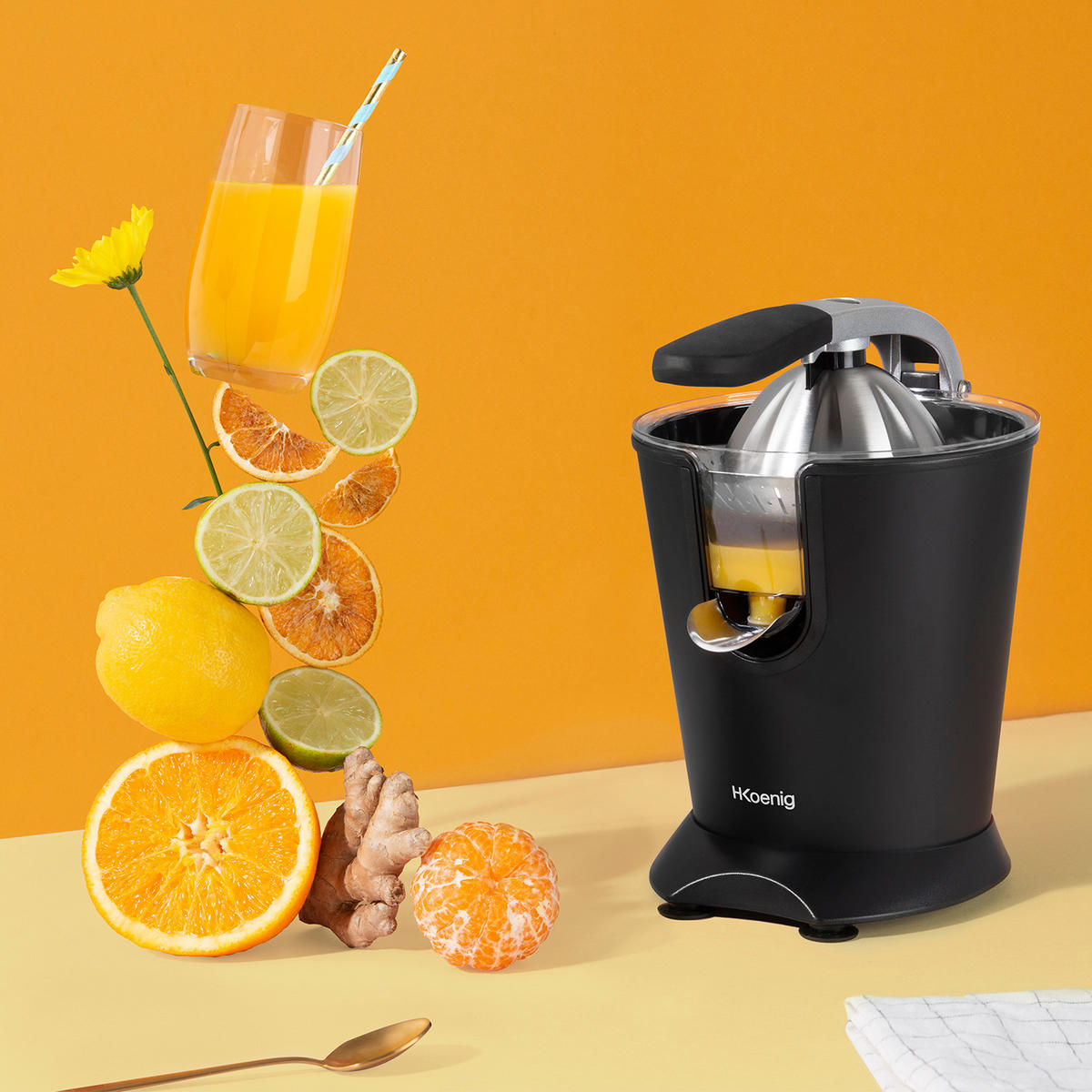 ZITRUSPRESSE AGR82 Schwarz, Hebel und Filter aus Edelstahl, Anti-Tropf-System, BPA-frei - Schwarz, Metall (18.5/29/25.5cm) - HKoenig