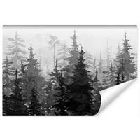 FOTOTAPETE Schwarz-Weiß WALD Bäume Natur 360x240cm - Schwarz/Weiß, Papier (360/240cm) - Muralo