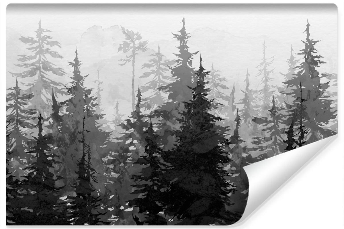 FOTOTAPETE Schwarz-Weiß WALD Bäume Natur 360x240cm - Schwarz/Weiß, Papier (360/240cm) - Muralo